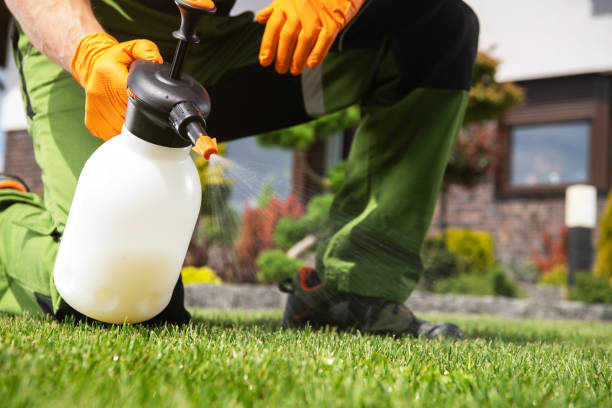 Best Emergency Pest Control  in Ferndale, WA