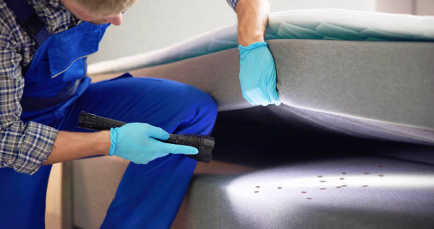 Best Commercial Pest Control Services  in Ferndale, WA