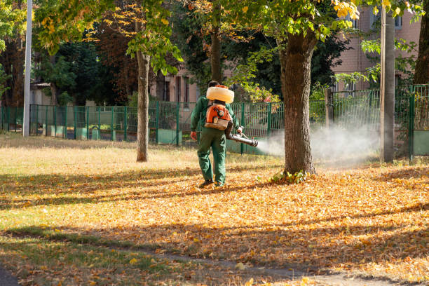 Best Insect Control  in Ferndale, WA
