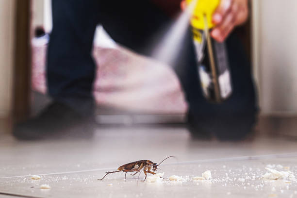 Trusted Ferndale, WA Pest Control Experts