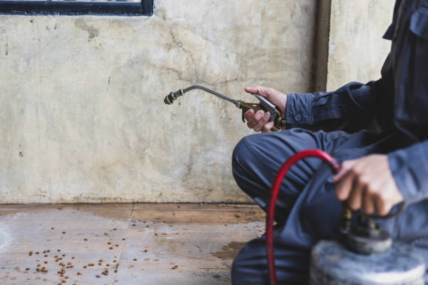 Professional Pest Control in Ferndale, WA